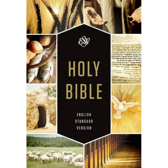 English Standard Version -Bible
